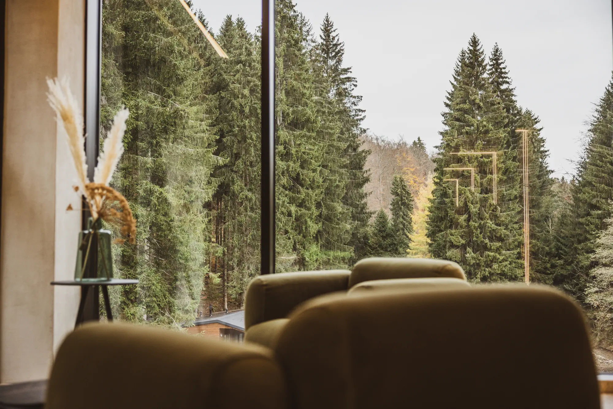 Interieur mit Waldblick – Bildmotiv der offiziellen Hotelwebsite